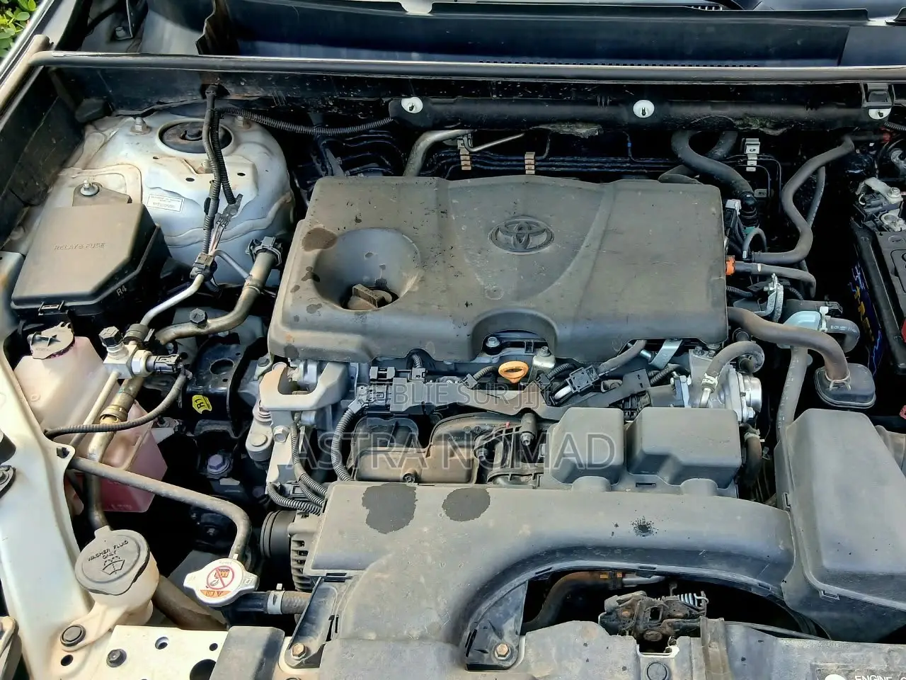 Toyota RAV4 2022 Blanc