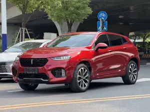 Wey VV5 2022 Rouge