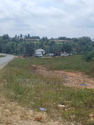Vente Terrain 2000m2 Commercial Attinguié Ville Route Akoupé