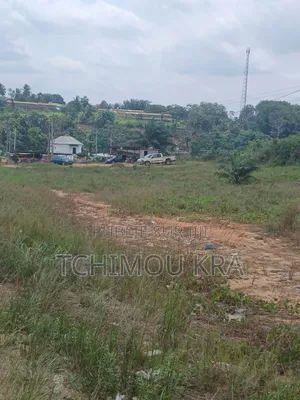 Vente Terrain 2000m2 Commercial Attinguié Ville Route Akoupé