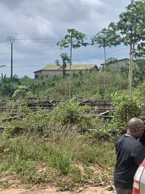 Vente Terrain 2000m2 Commercial Attinguié Ville Route Akoupé