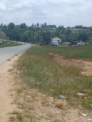 Vente Terrain 2000m2 Commercial Attinguié Ville Route Akoupé