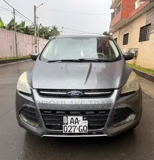 Ford Escape 2015 Gris