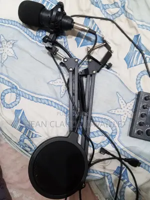 Micro De Studio Et Egaliseur De Voix