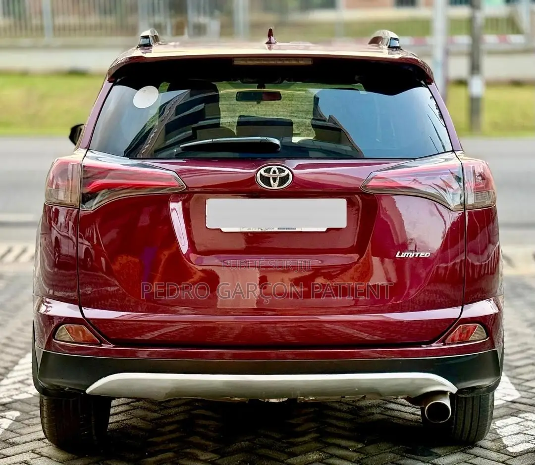 Toyota RAV4 2017 Rouge