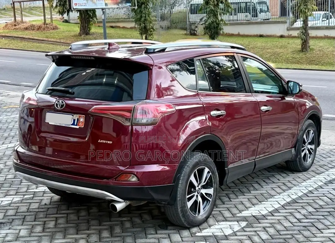 Toyota RAV4 2017 Rouge