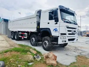 Benne Sinhotruck Owho 360 Année 2022