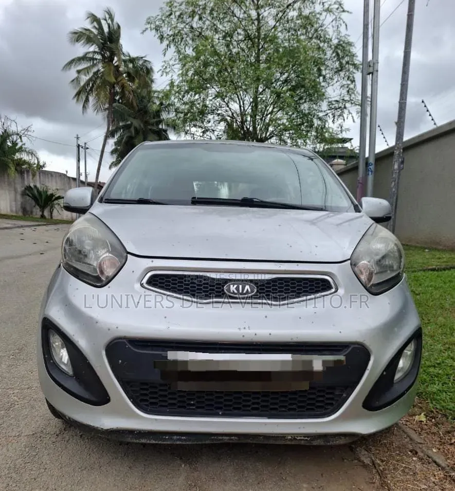 Kia Picanto 1.1 EX Automatic 2012 Gris