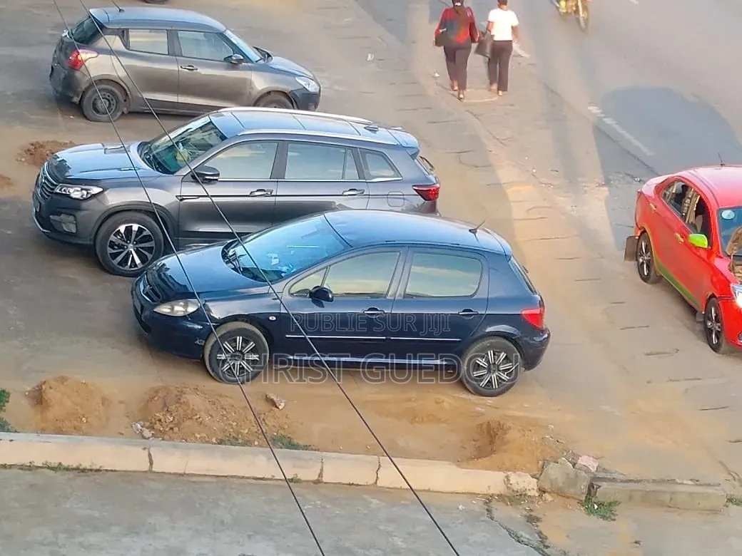 Peugeot 307 2010 Bleu
