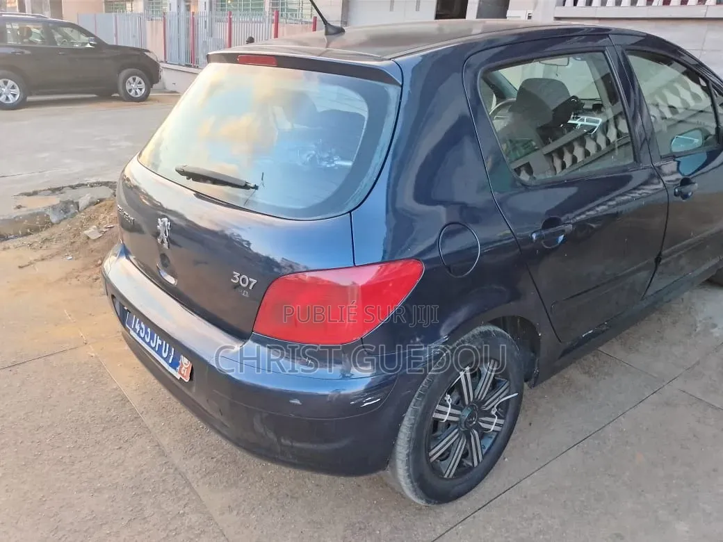 Peugeot 307 2010 Bleu