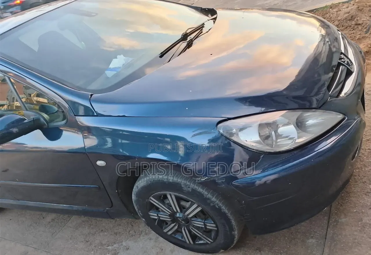 Peugeot 307 2010 Bleu