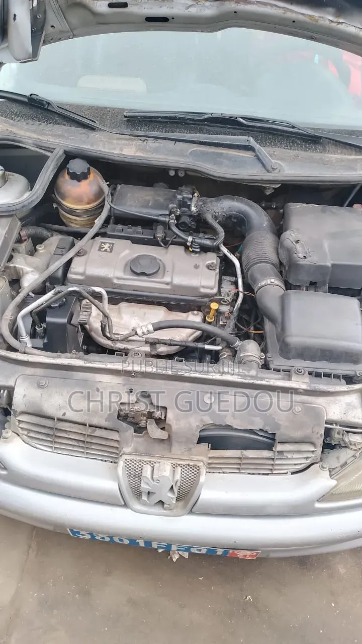 Peugeot 206 2012 Gris