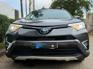 Toyota RAV4 LE AWD (2.5L 4cyl 6A) 2016 Gris
