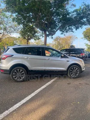 Ford Escape 2019 Gris