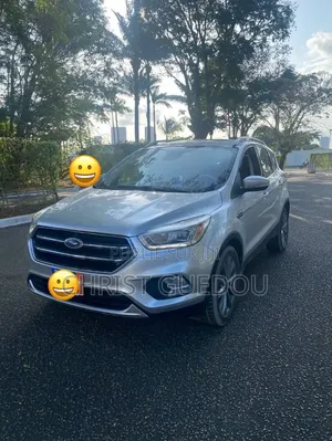 Ford Escape 2019 Gris