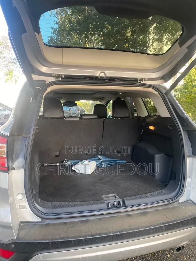Ford Escape 2019 Gris