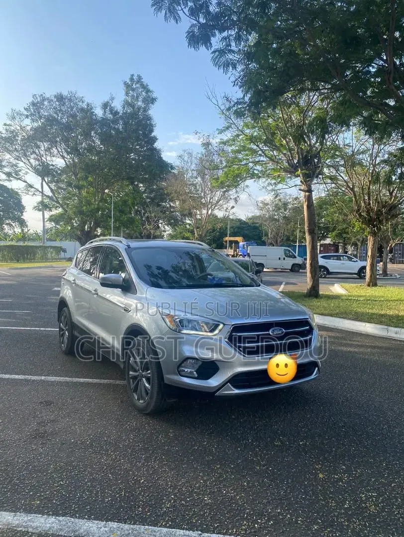 Ford Escape 2019 Gris