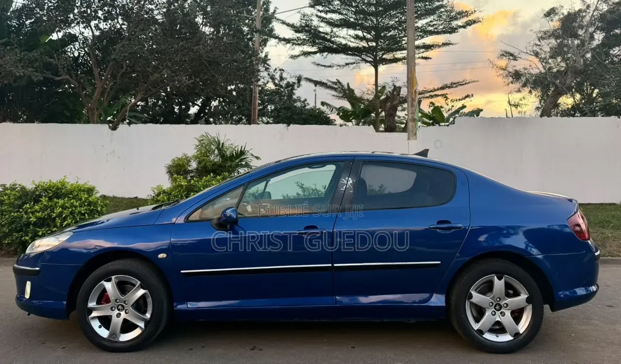 Peugeot 407 2012 Bleu