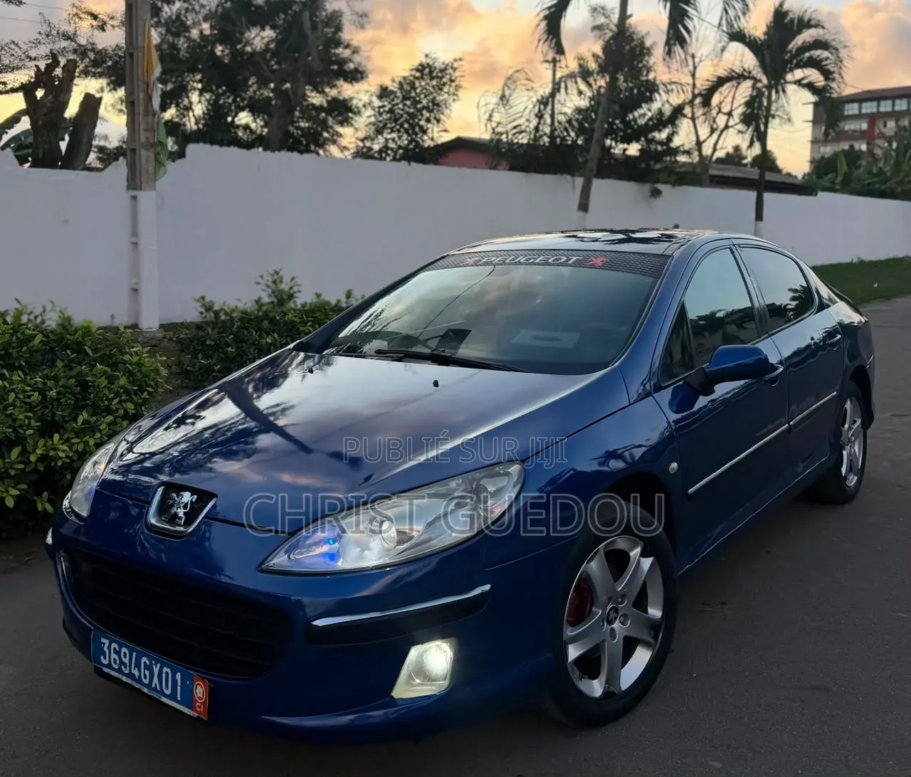 Peugeot 407 2012 Bleu
