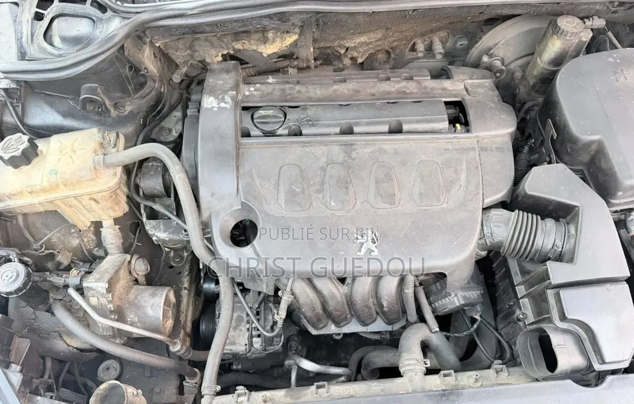 Peugeot 407 2012 Bleu