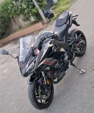 Nouveau Kawasaki Ninja 1000 2024 Noir
