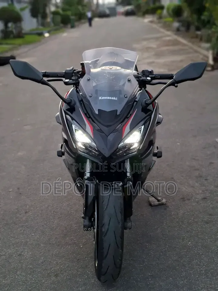 Nouveau Kawasaki Ninja 1000 2024 Noir