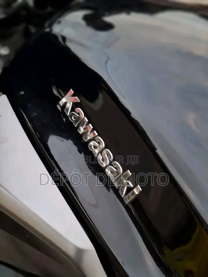 Nouveau Kawasaki Ninja 1000 2024 Noir