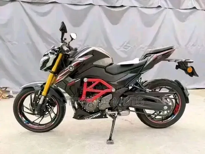 Nouveau Haojue DR300 2026 Noir