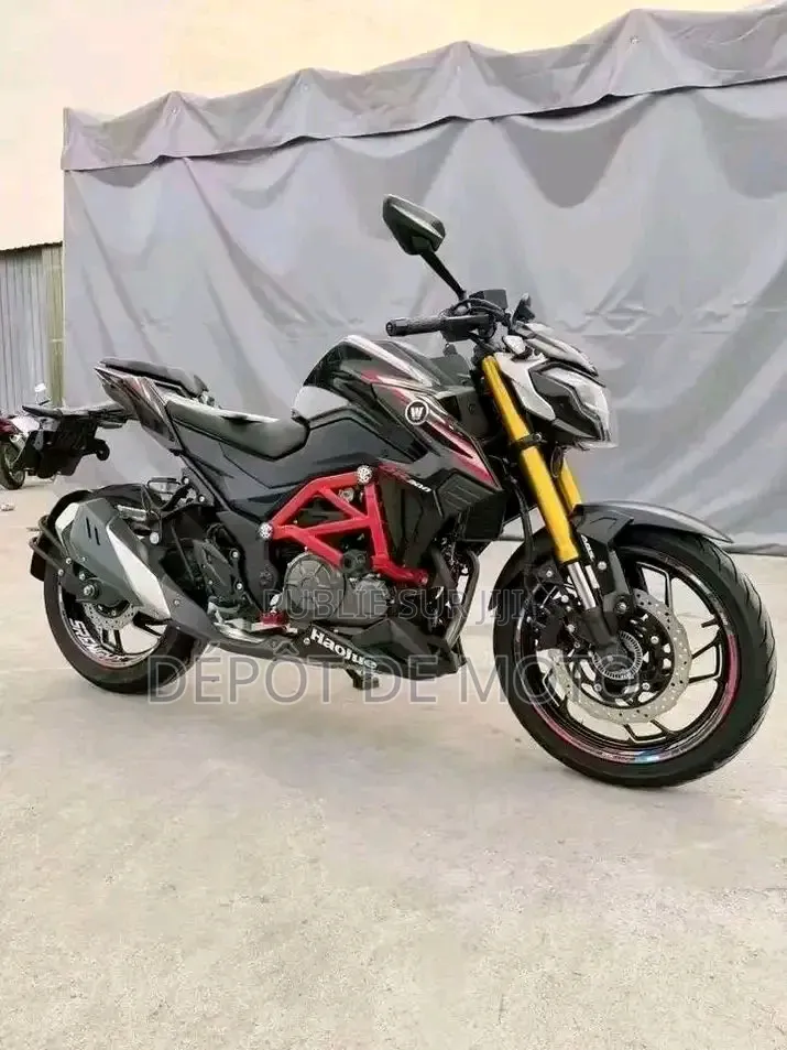 Nouveau Haojue DR300 2026 Noir