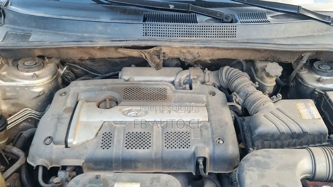 Hyundai Tucson 2006 Gris