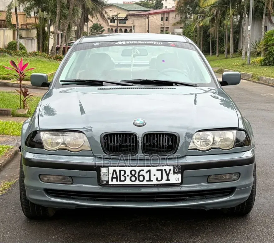 BMW 318i 2002 Gris