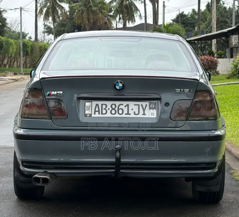 BMW 318i 2002 Gris