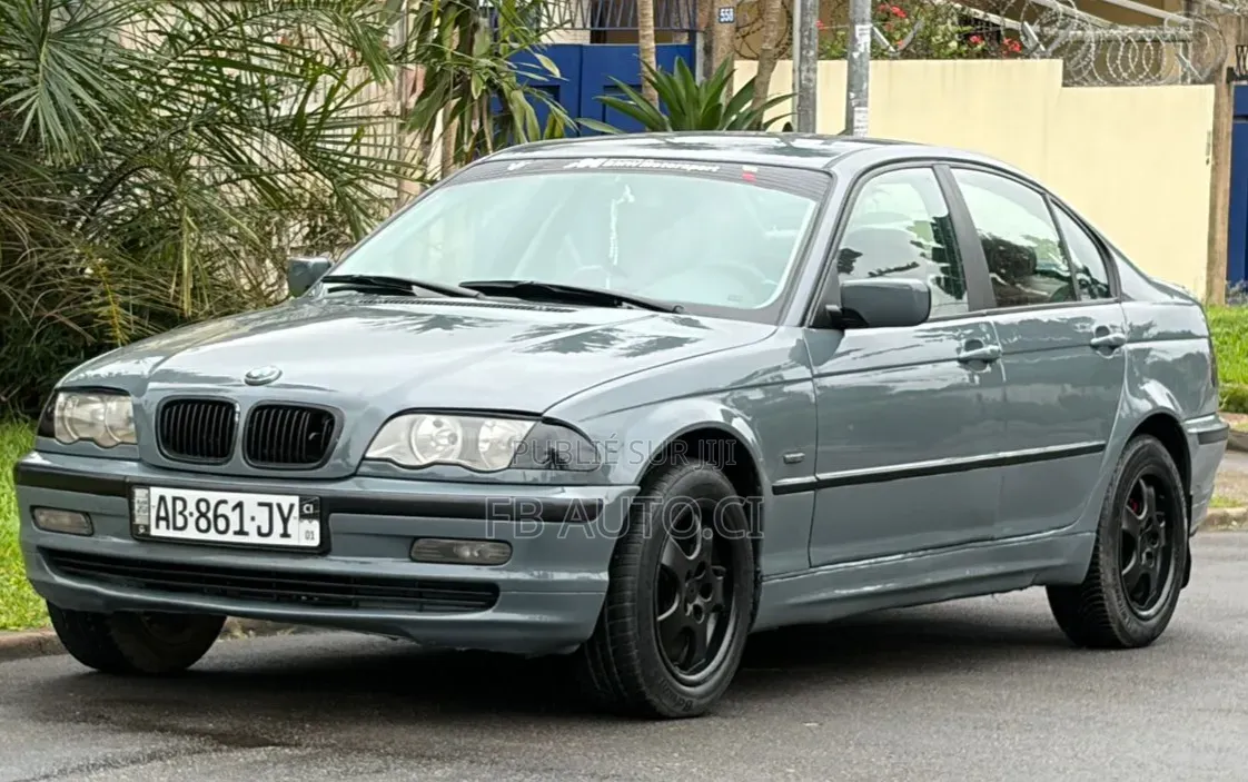 BMW 318i 2002 Gris
