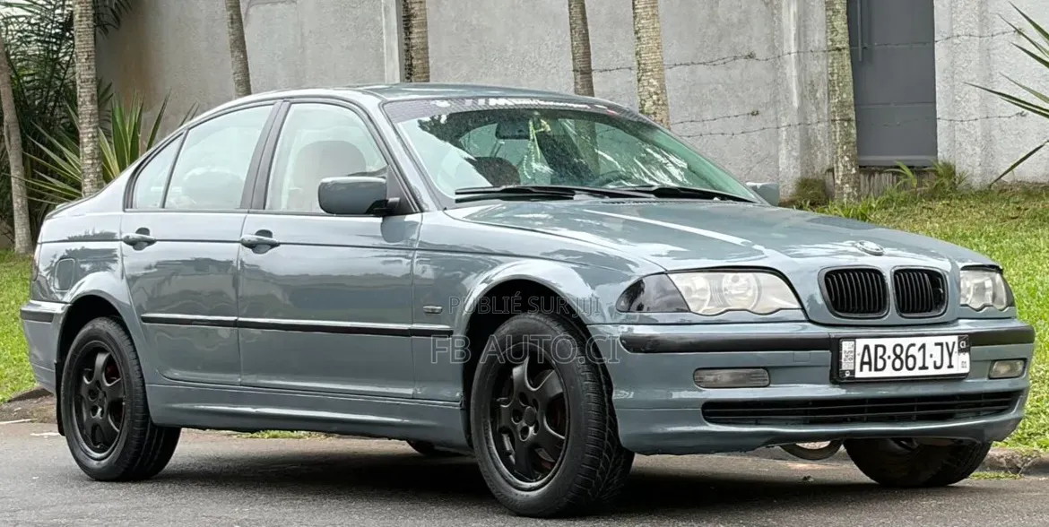 BMW 318i 2002 Gris