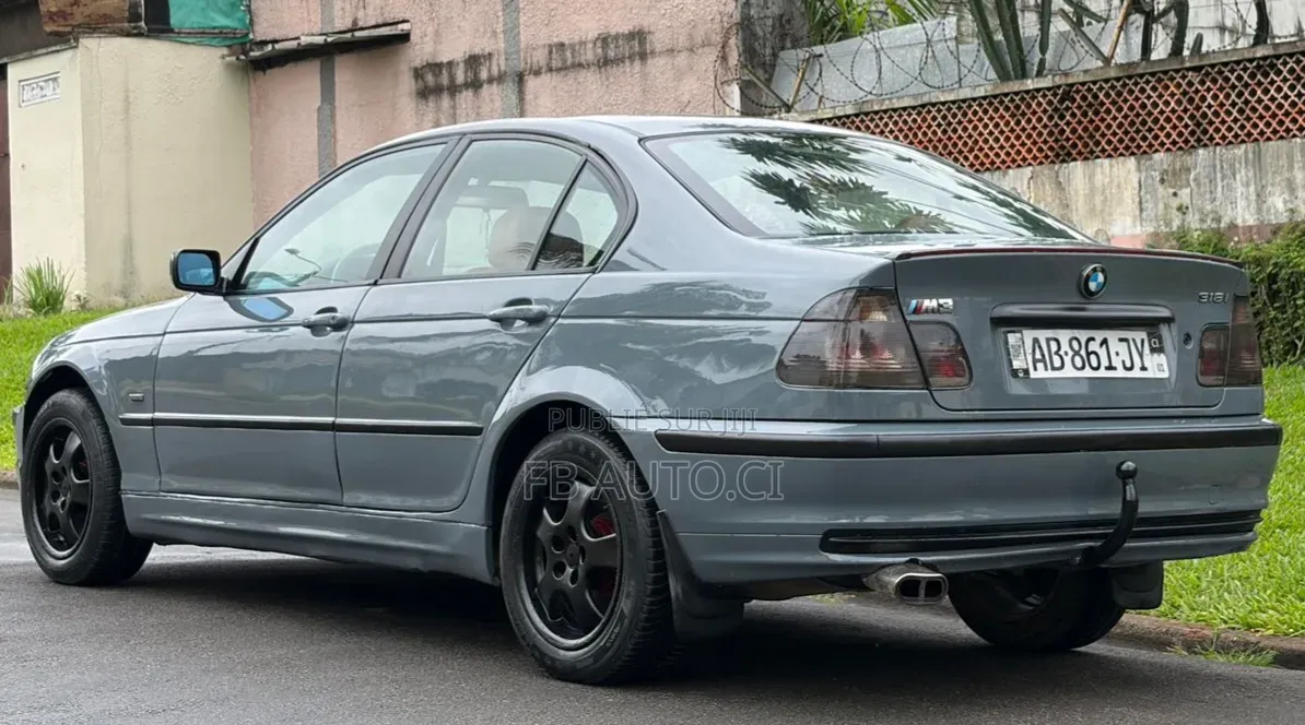 BMW 318i 2002 Gris