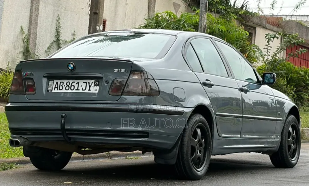 BMW 318i 2002 Gris