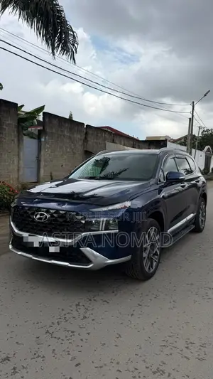 Hyundai Santa Fe 2024 Bleu