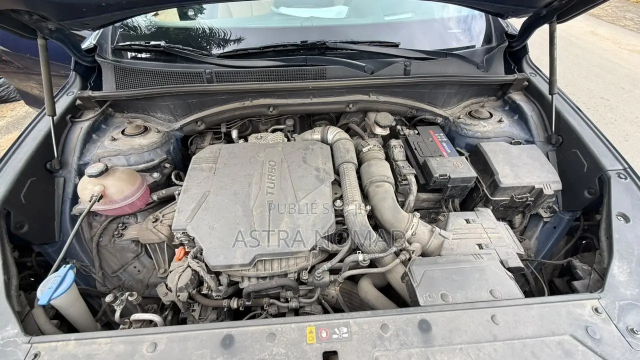 Hyundai Santa Fe 2024 Bleu