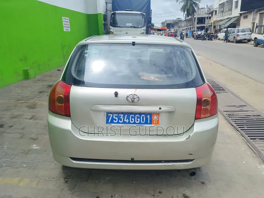 Toyota Corolla 2006 Gris