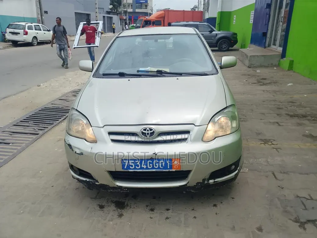 Toyota Corolla 2006 Gris