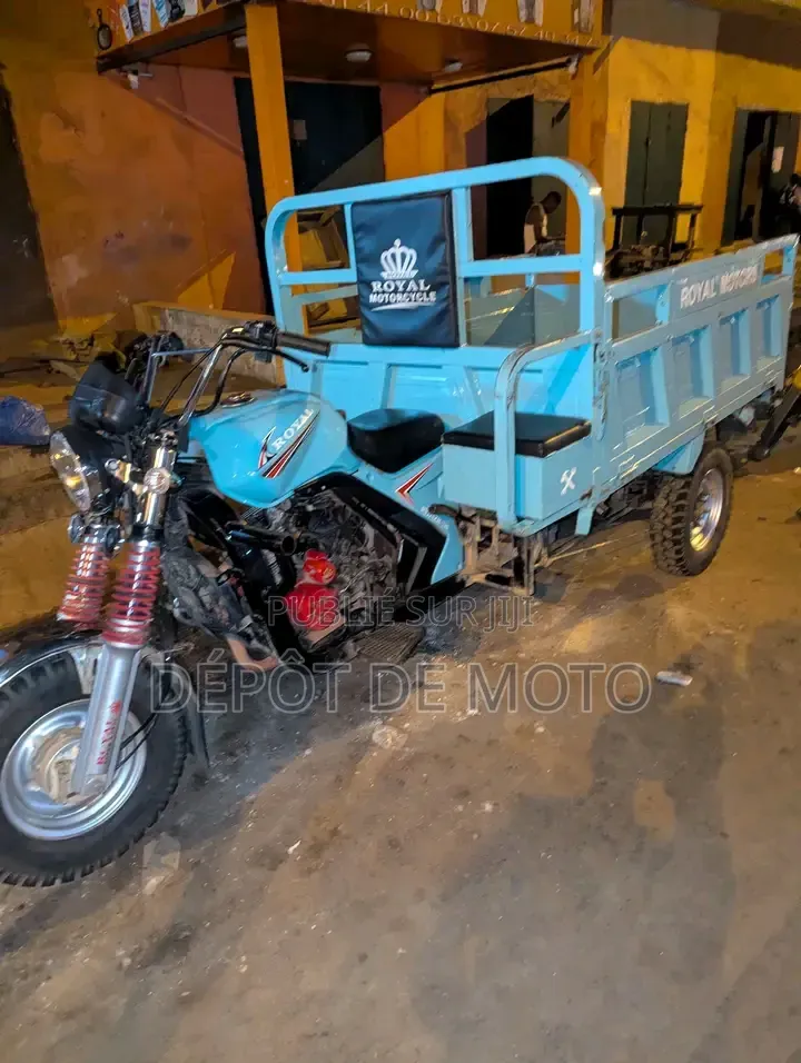 Nouveau Tricycle 2025 Bleu