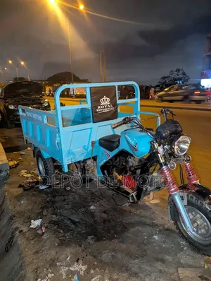 Nouveau Tricycle 2025 Bleu