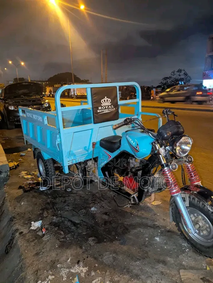 Nouveau Tricycle 2025 Bleu