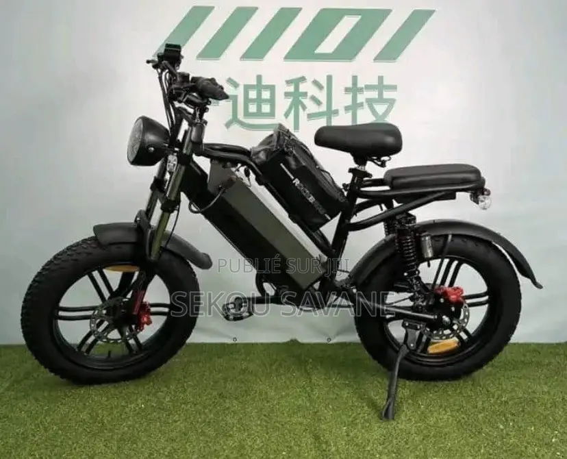 Vélo Électrique