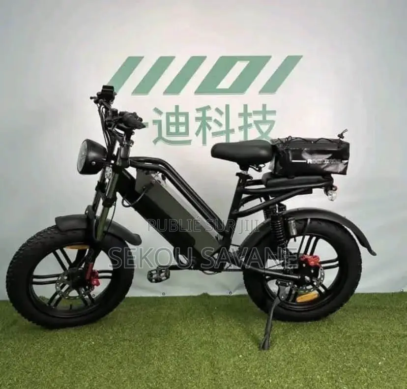 Vélo Électrique