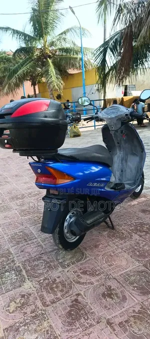 Nouveau Honda 2025 Bleu