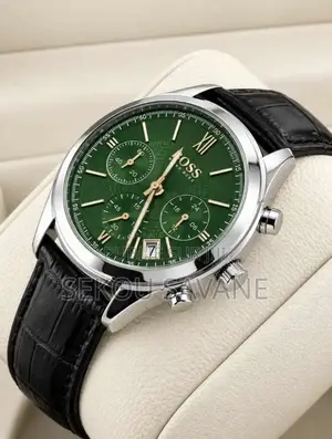 Montre Hugo Boss