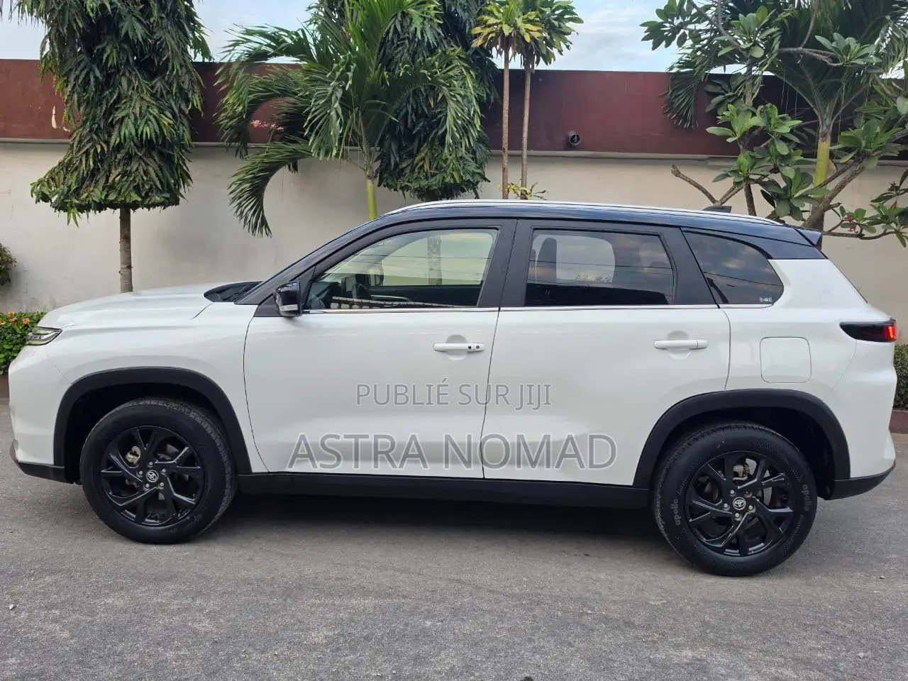 Toyota Urban Cruiser 2023 Blanc