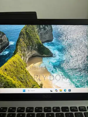 Ordinateur portable Dell Latitude 5410 8GB Intel Core i5 SSD 256GB