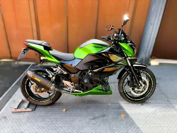 Kawasaki Z400 2017 Vert